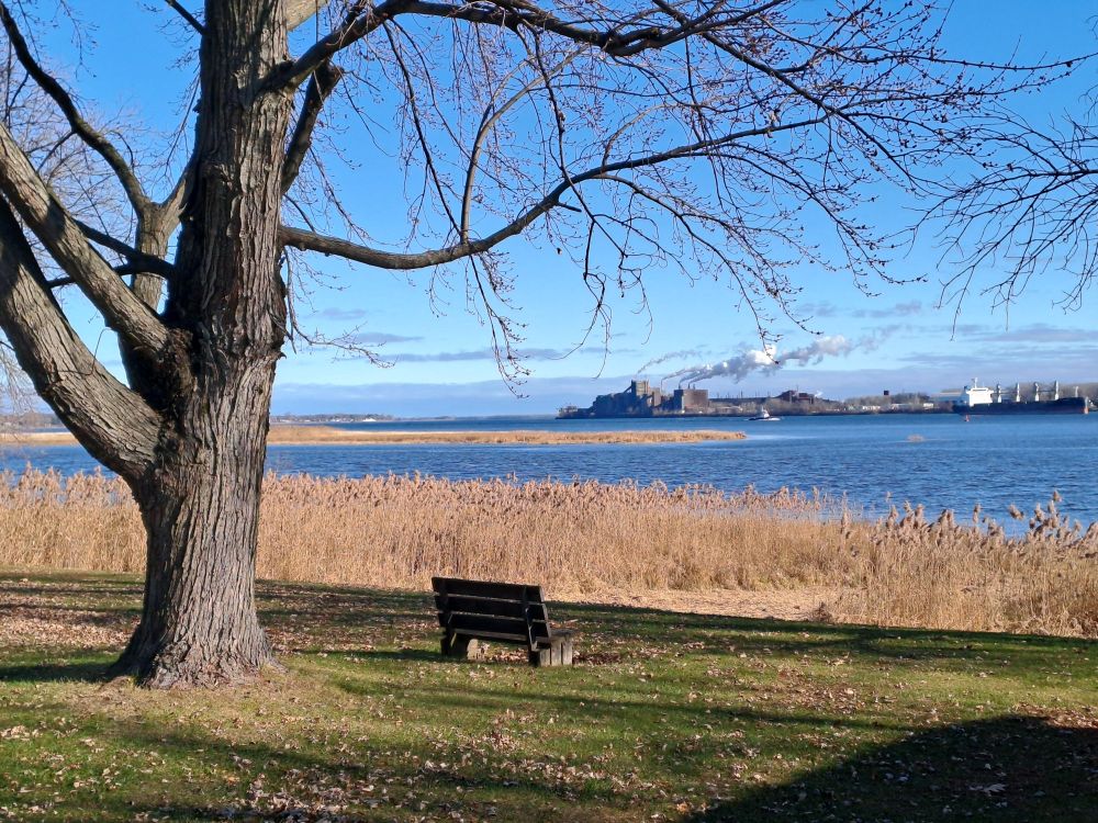 Vue sur le fleuve St Laurent 