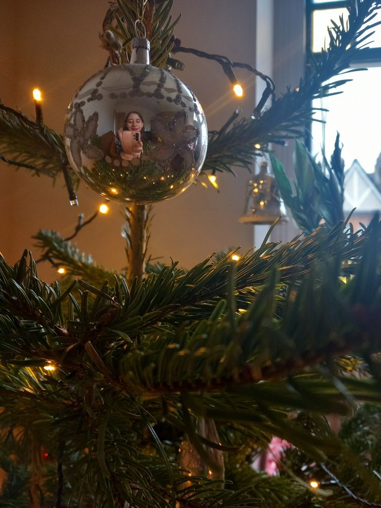 Christmas tree, decor and my reflection!!