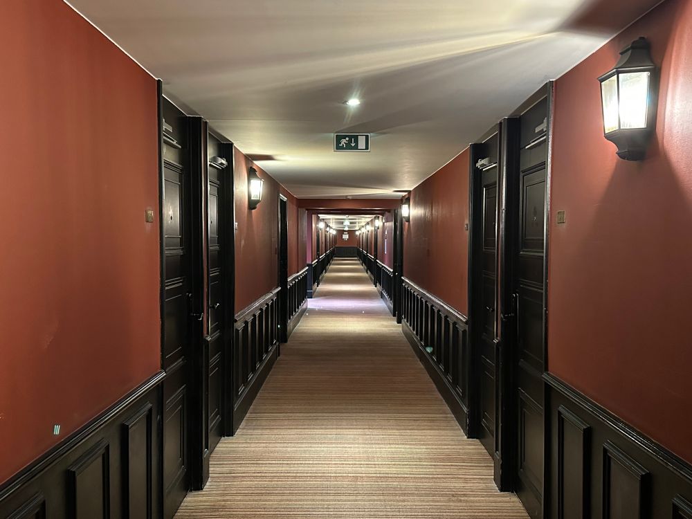 A long, somewhat old-fashioned hotel corridor