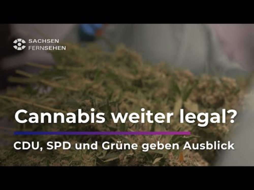 Ein Jahr Teillegalisierung - Was jetzt? I Sachsen Fernsehen