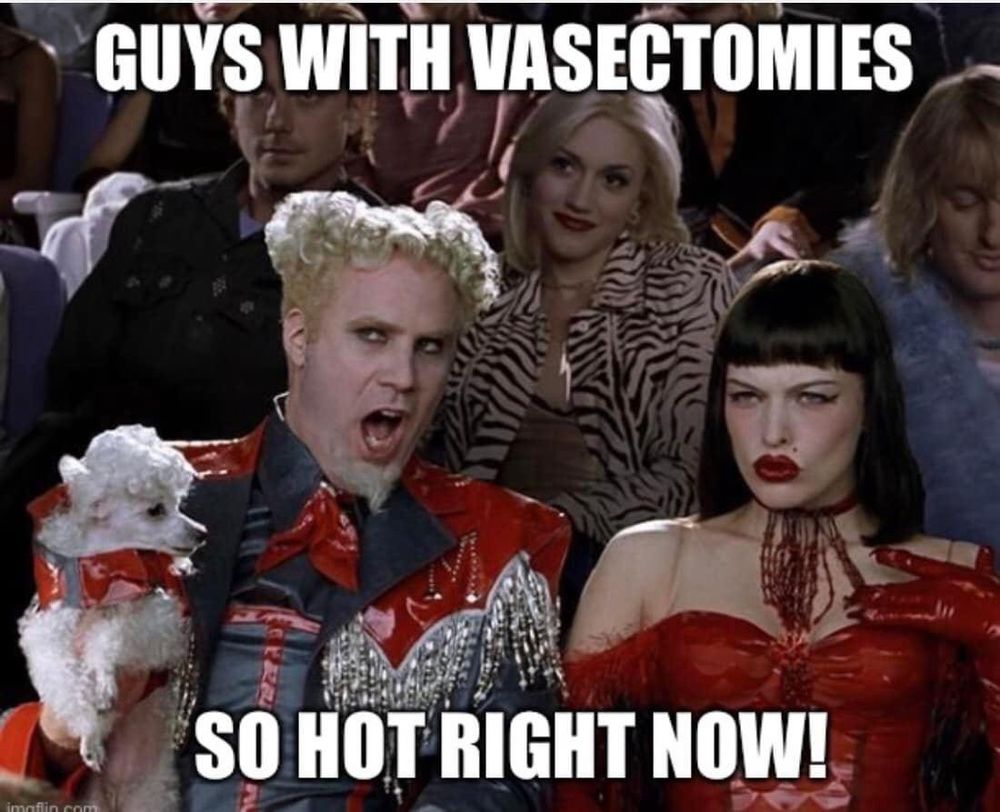 Will Ferrell holding a small dog saying that guys with vasectomies are so hot right now