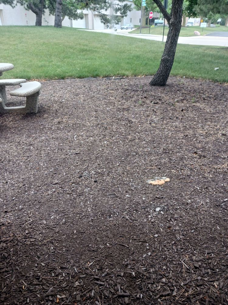 Puddle of vomit outside of office window