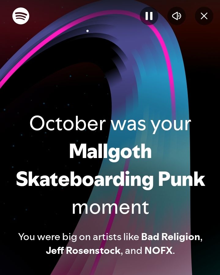 Spotify mallgoth skateboarding punk 