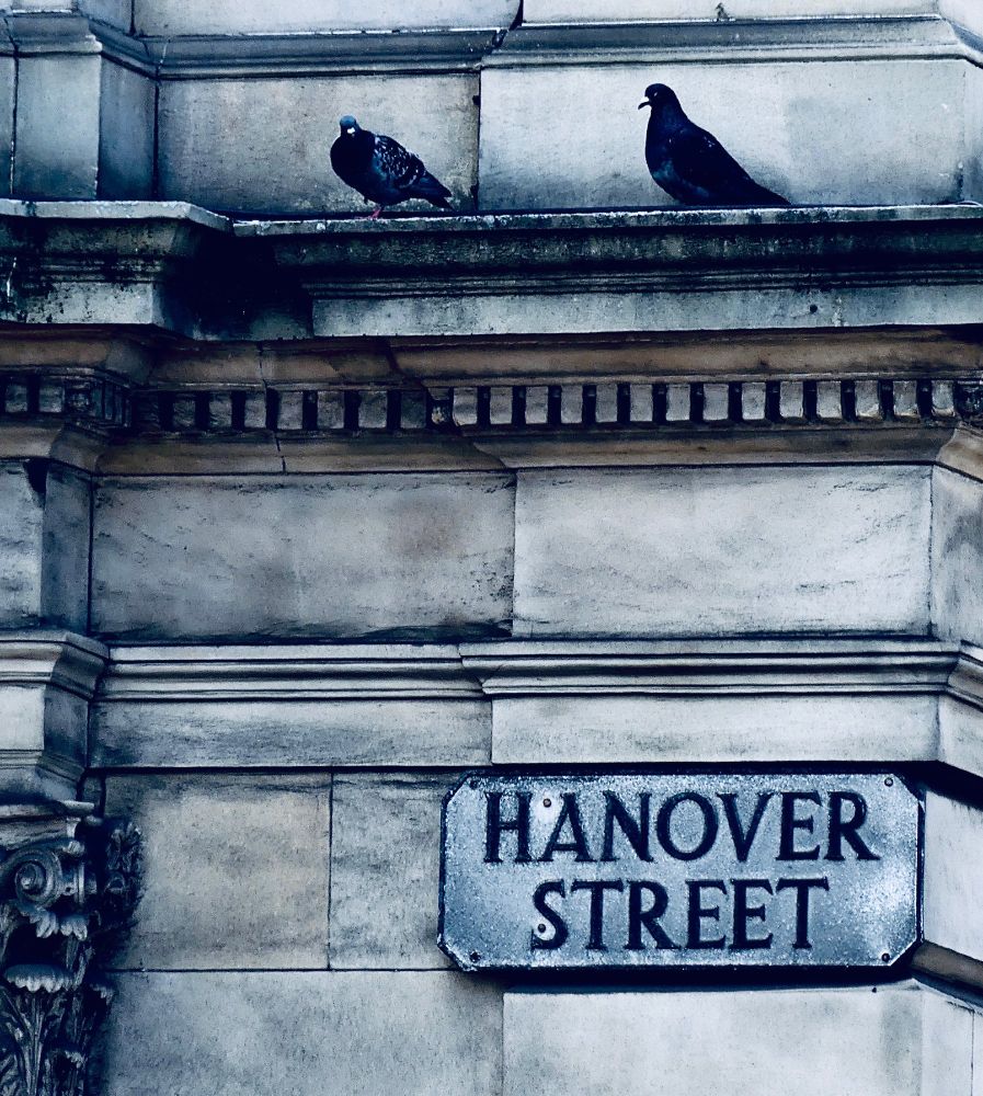 One male and one female pigeon on a ledge, looking shifty.