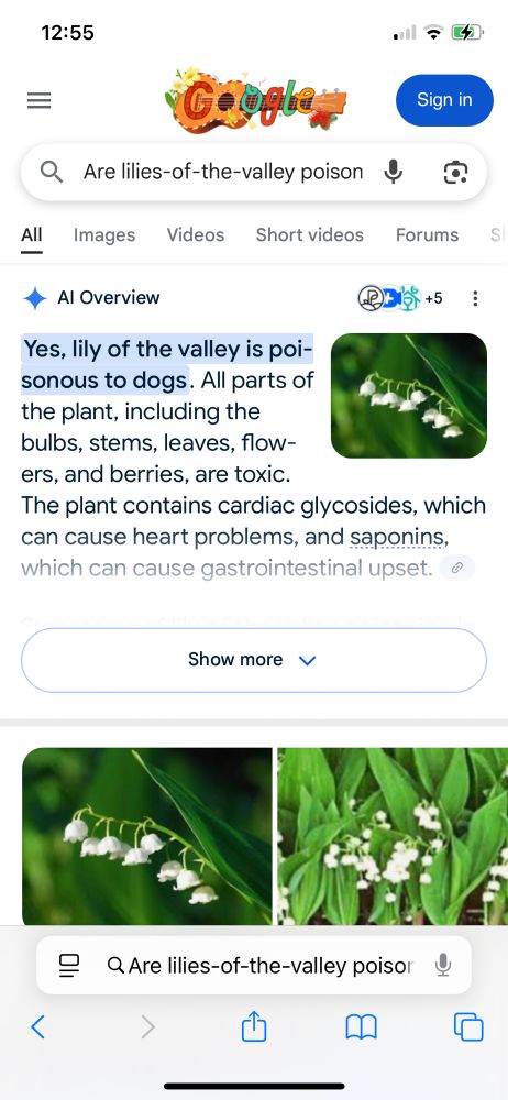 Comment image