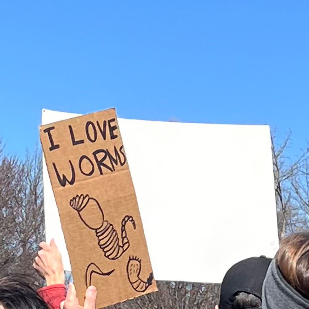 A hand-drawn sign in marker on a brown piece of cardboard. The text reads "I LOVE WORMS" and there are three cute lil worms, I think an annelid, a polychaete (?), and maybe a roundworm or something. LOVE THIS