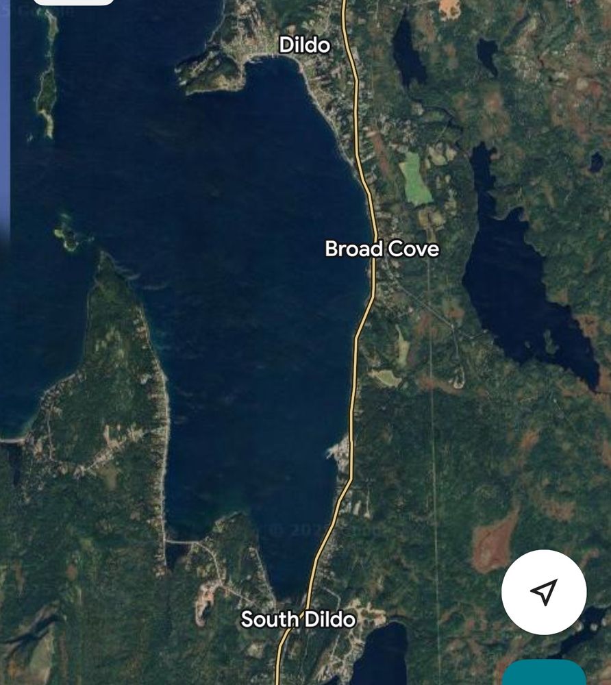 Map depicting Broad Cove, between Dildo and South Dildo, in Newfoundland.