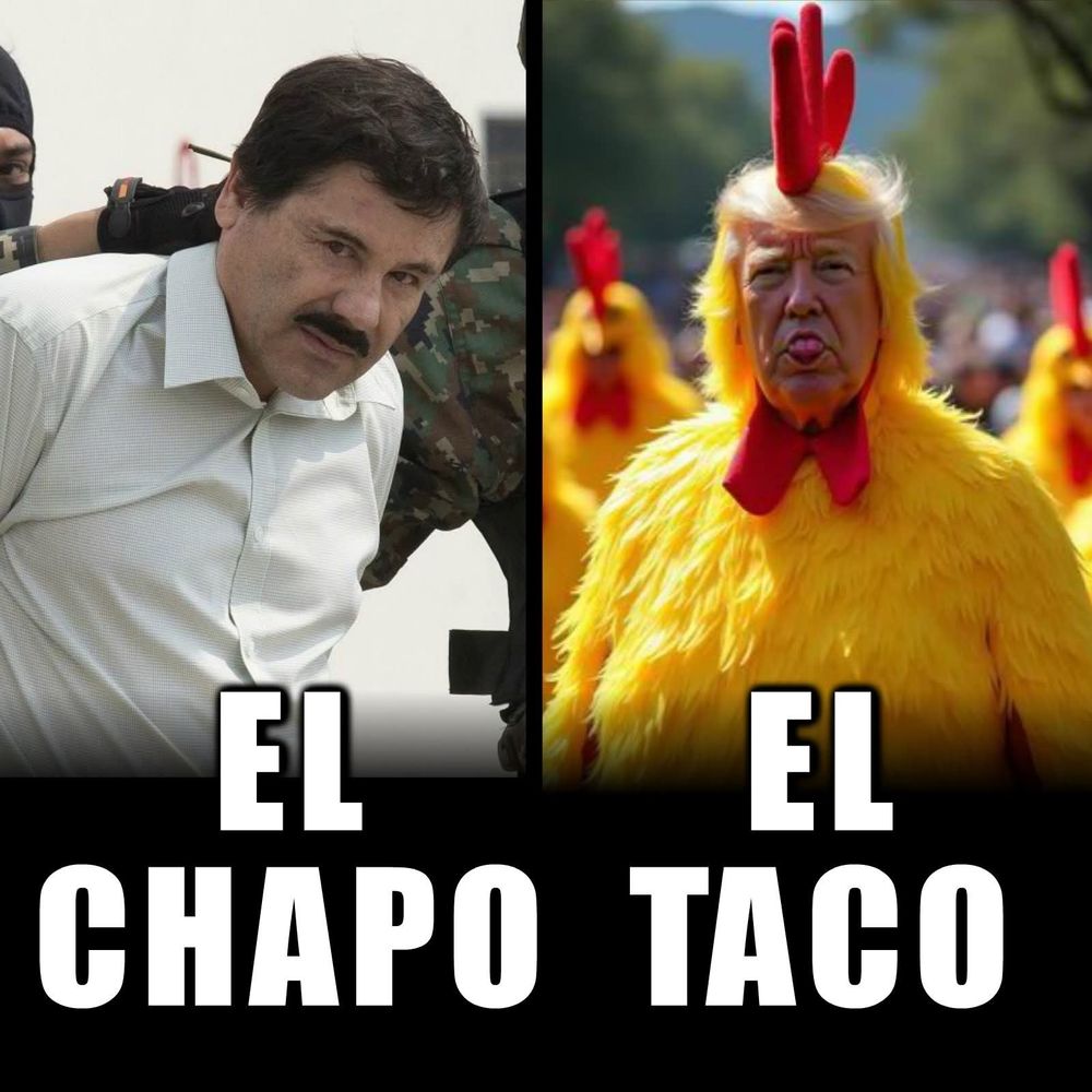 Comment image