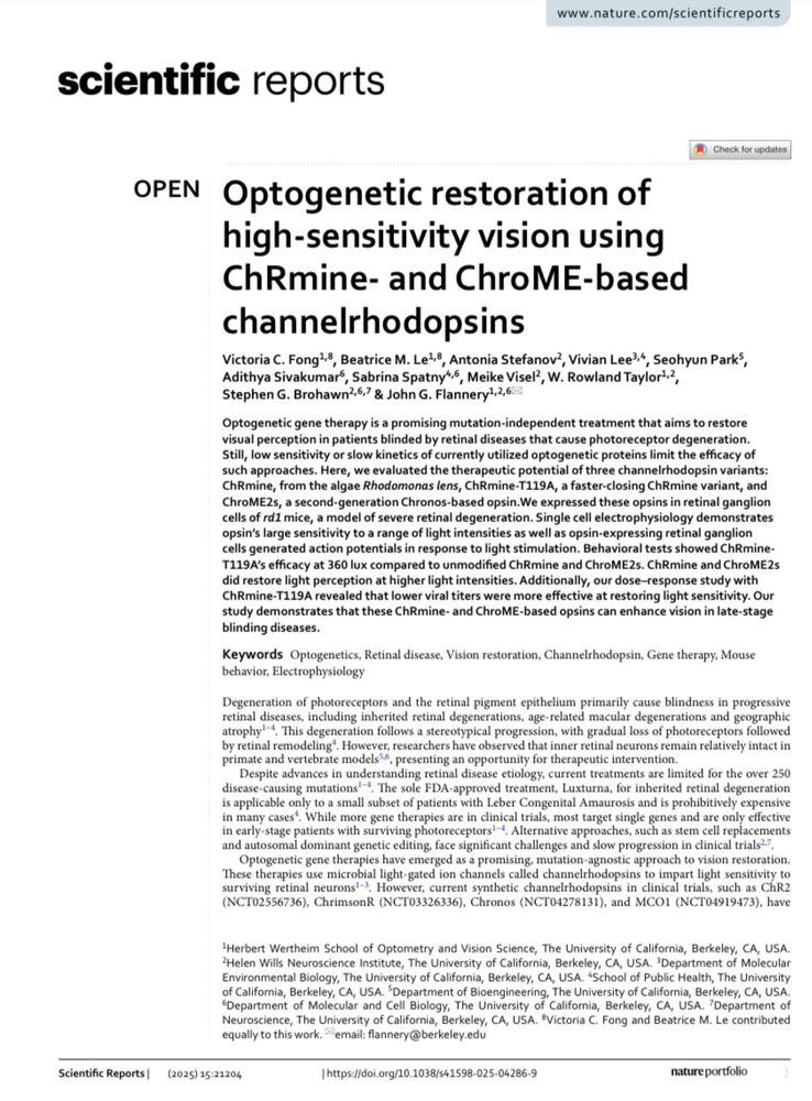 The cover page of a scientific paper published at nature.com entitled “Optogenetic restoration of high-sensitivity vision using ChRmine- and ChroME-based channelrhodopsins"
