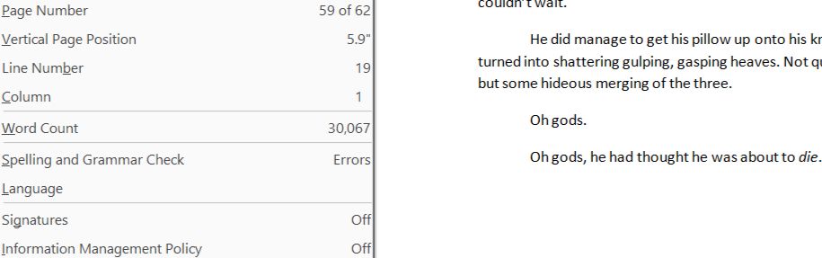 Screenshot of a Word document showing a word count of 30,067 words. The final two lines that are visible read: Oh gods. Oh gods, he had thought he was about to die.
