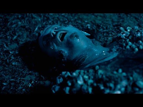 King Gizzard & The Lizard Wizard - Grow Wings and Fly (Official Video)