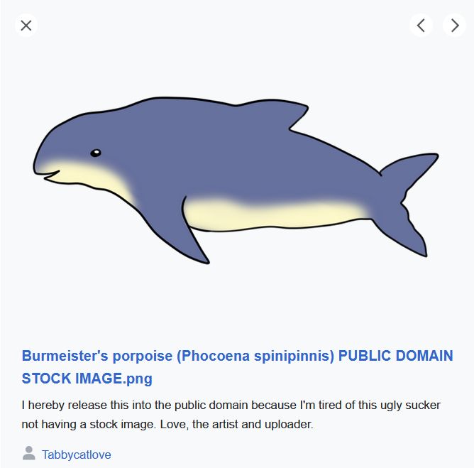 Silly little Wikimedia drawing of a burmeister's porpoise with the text "I hereby release this into the public domai because I'm tired of this ugly sucker not having a stock image. Love, the artist and uploader -- Tabbycatlove"