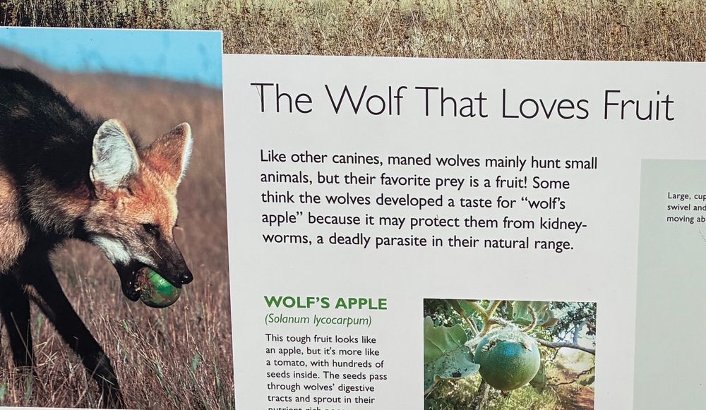 sign at the zoo that reads: The Wolf That Loves Fruit