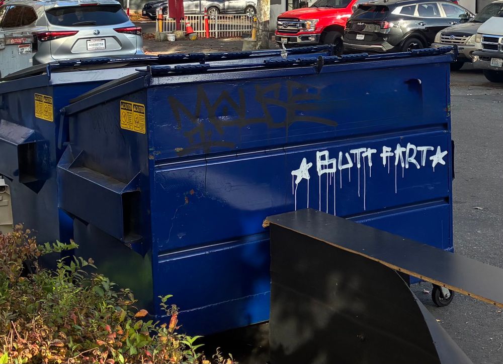 dumpster with graffiti on it that says BUTT FART