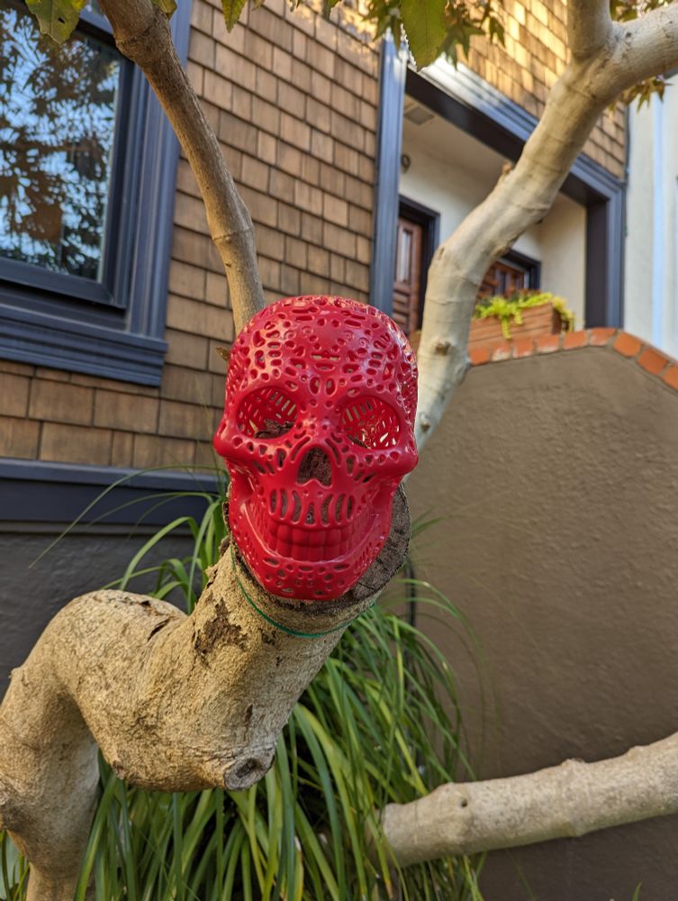 A tree with a pink plastic skull where a branch used to be