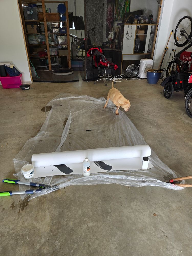 A dog walking across plastic laid on the floor in preparation for paper art to be worked upon