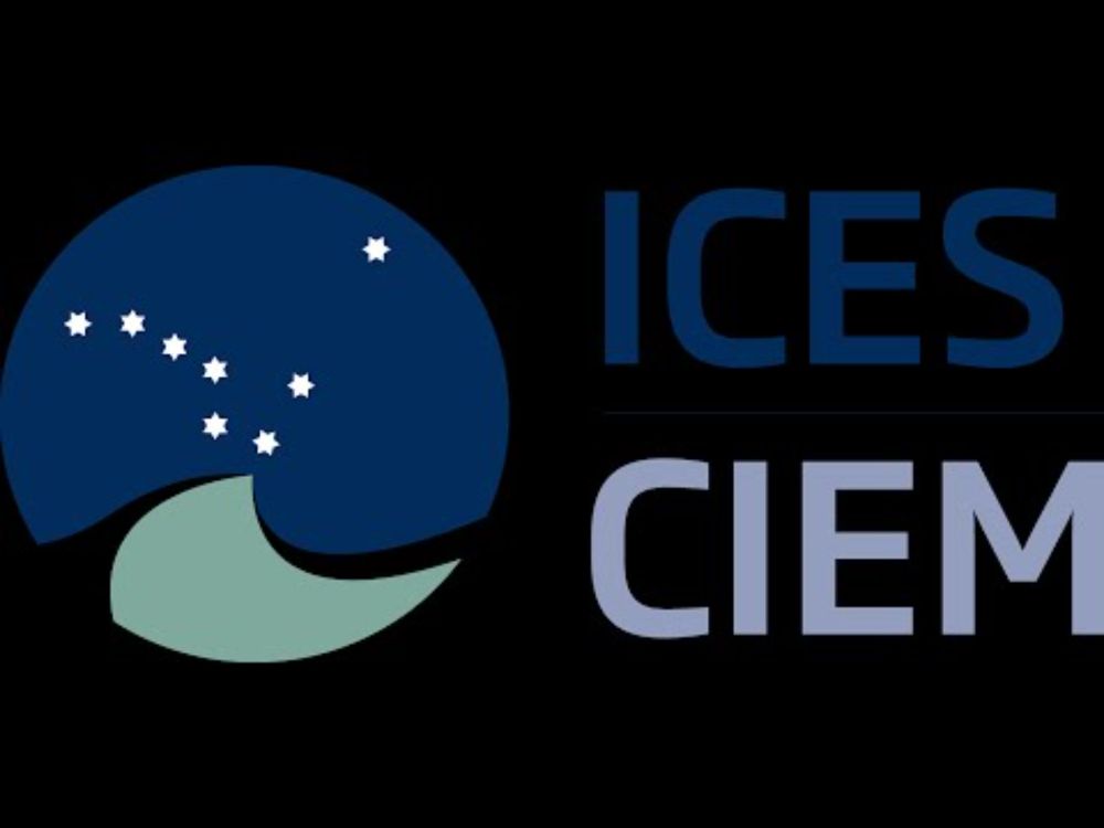 ICES/FAO WGFTFB - 20 May 2025
