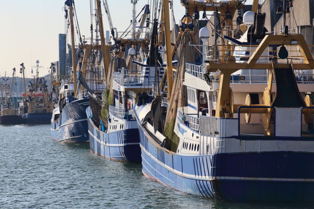 Fishing trawlers in the harbour of Scheveningen, the Netherlands.