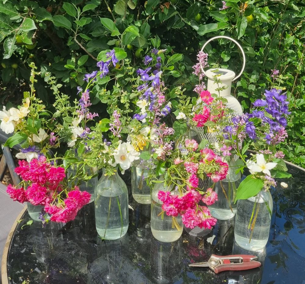 9 milk bottles containing home grown flowers 