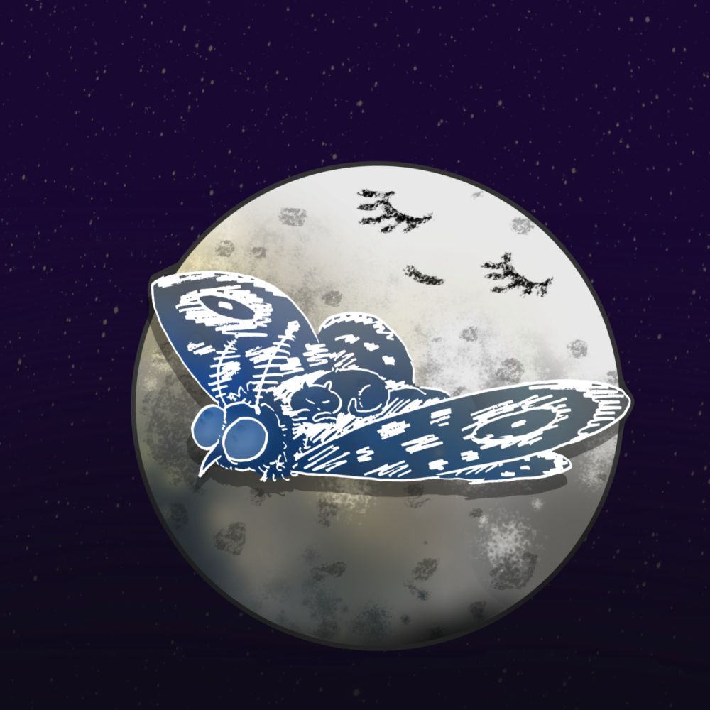 a drawing of a cat asleep on a moth flying in front of the sleeping moon. 
