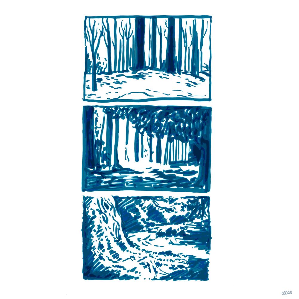 Three Thumbnail ink sketches of forests. They are of average quality and give one a feeling of quaint appreciation for the simple linework. 