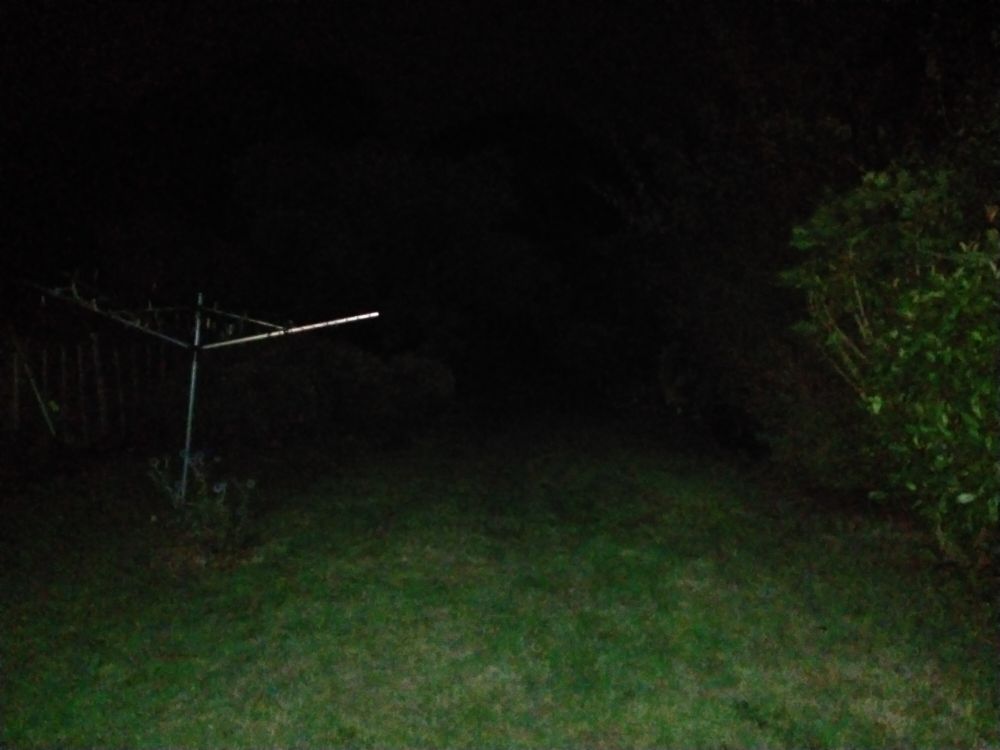 Night garden