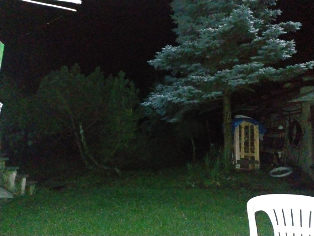 Night time garden