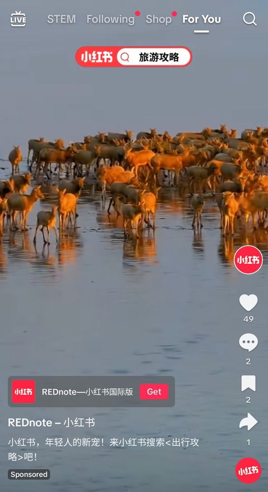 Screenshot of a sponsored ad on my TikTok feed. For REDnote. As in REDnote is openly advertising on TikTok for those of us about to lose access to TikTok.