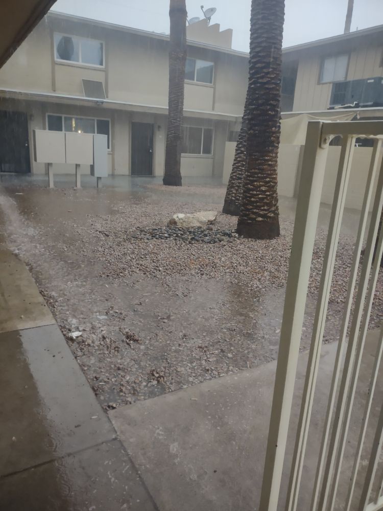 Phoenix apt courtyard with rain coming down. The ground is starting to flood 