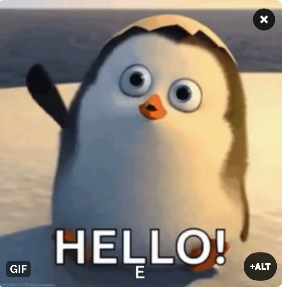 Screenshot of a penguin GIF saying "hello"!