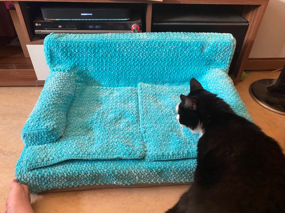 A blue crochet couch bed for a cat with a black cat in front of it