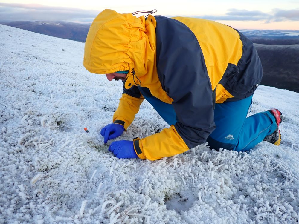 Just a dude in a yellow jacket kneeling down on an icy hill looking for lichen