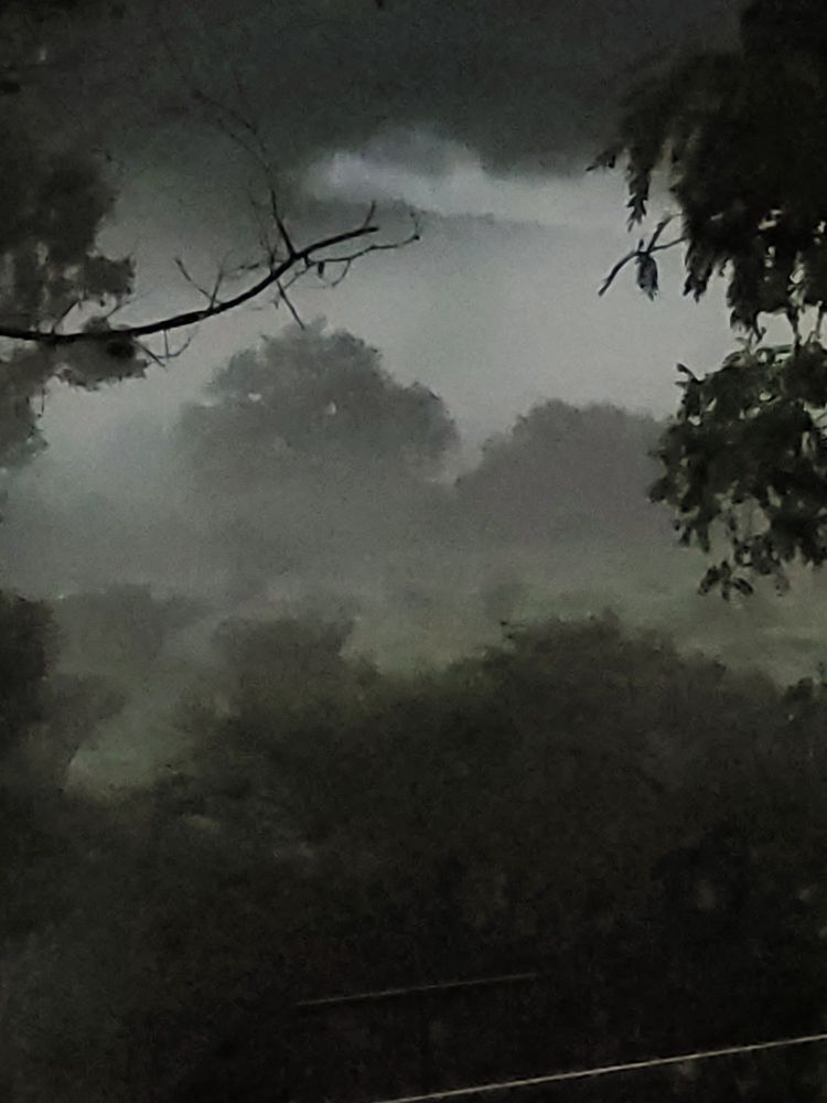 Misty morning landscape.