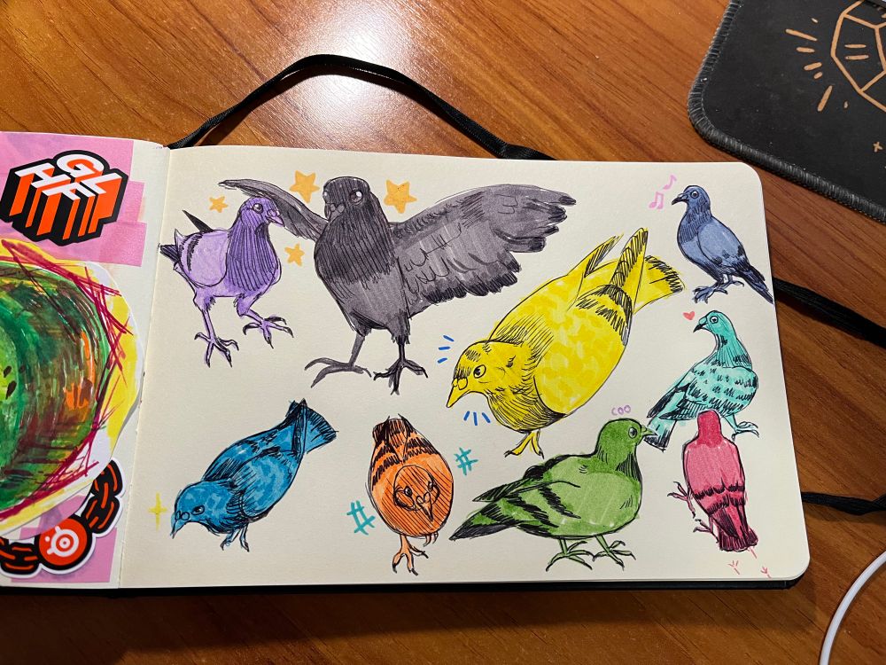 a sketchbook page full of pigeons in different colors and different poses