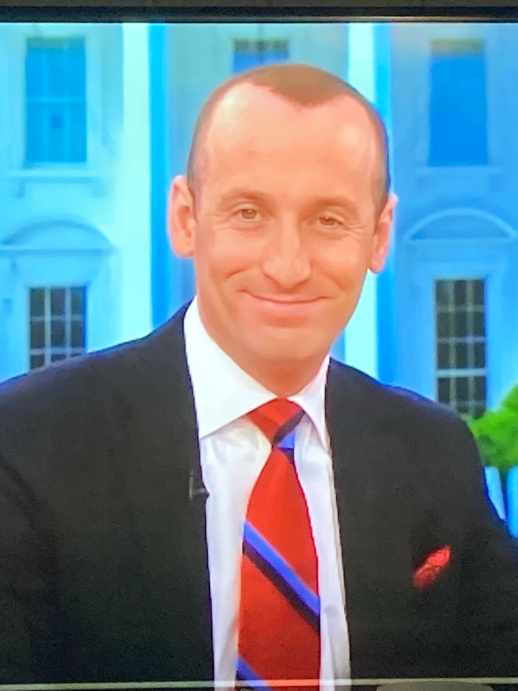 Stephen “Pee in My Mouth Mommy” Miller, sporting a soulless  smile and sprayed on hair, trying his best not to reveal just how unlikable he is, and failing miserably. 