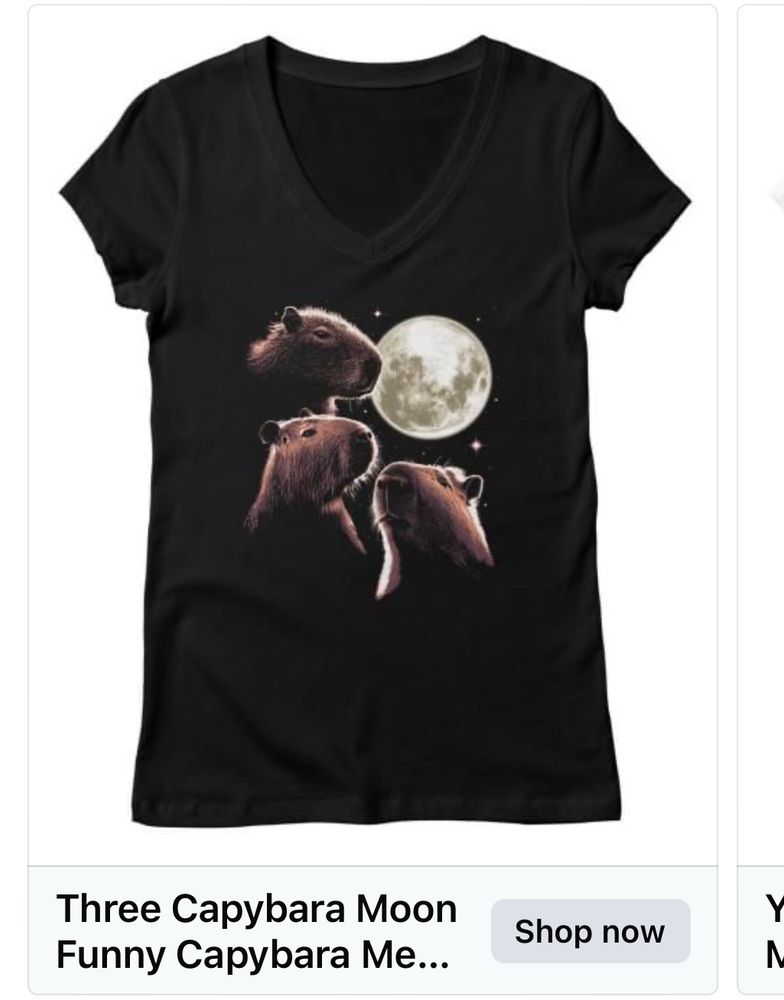 Photo of a “three-capybara moon” t-shirt, depicting three thoughtful capybaras gazing at a full moon 
