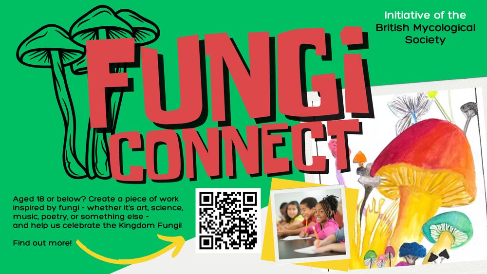 Poster about Fungi Connect showing young children writing, a painting of mushrooms, and a QR code. The poster invites young people to create a piece of work inspired by fungi - whether it's art, science, music, poetry or something else.