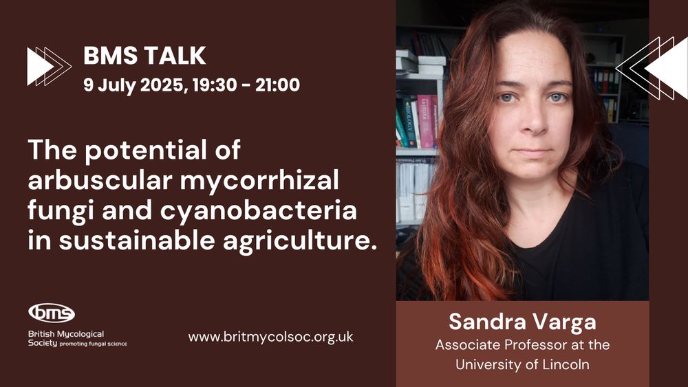 Banner advertising the BMS Talk on 9th June, with a photo of the speaker, Sandra Varga