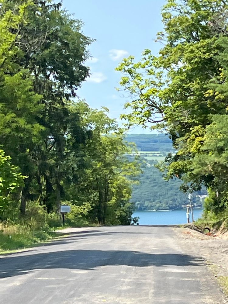 A road takes a sharp turn downhill toward Seneca Lake in the New York Fingerlakes, surrounded by green trees, with another tree-covered hill rising up from the other side of the lake.