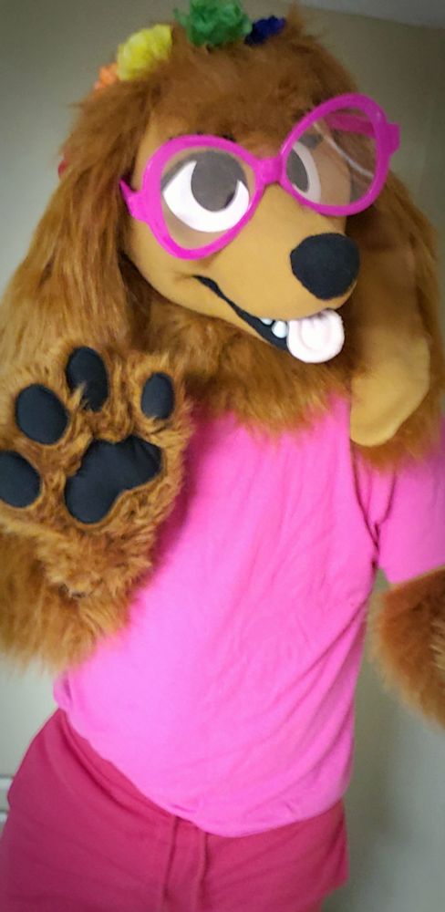 spaniel in pink outfit waving a paw to say "hi!"