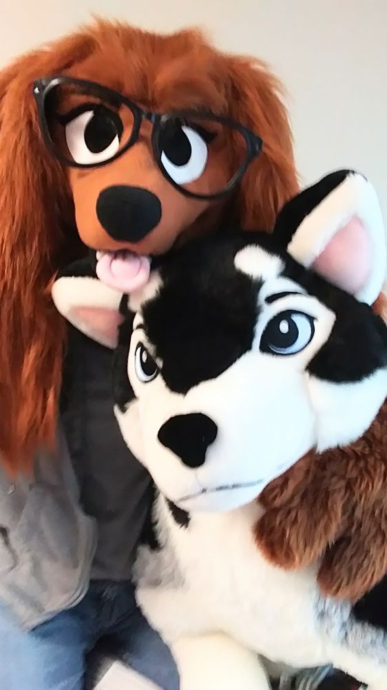 spaniel furry with giant husky plush