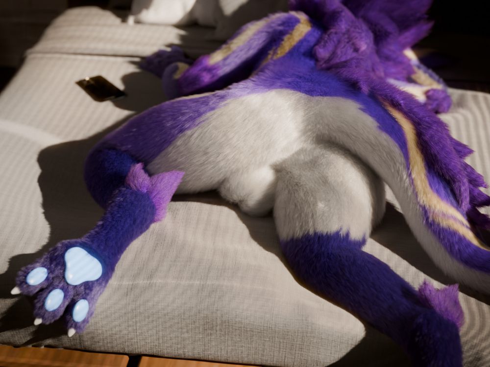 Nardo laying on bed 