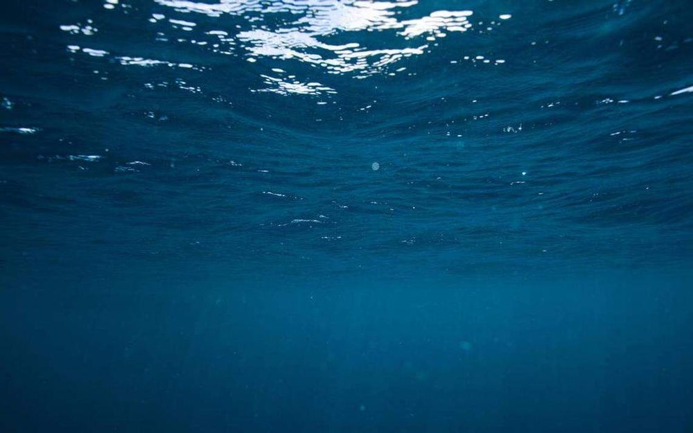 First whale ever named by scientists spotted off Massachusetts again. Meet Salt