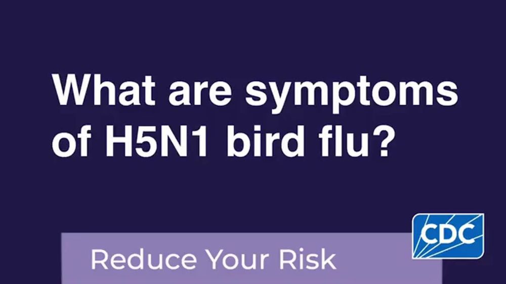 Grays Harbor resident tests positive for bird flu. Here’s what to know