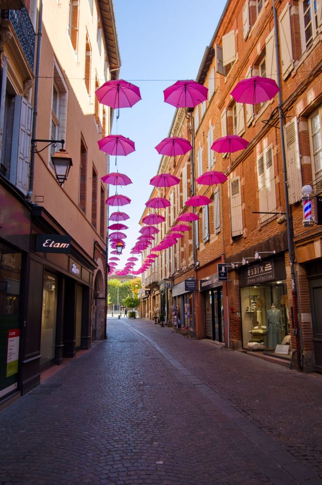 Rows of pink umbrellas for breast cancer awareness month