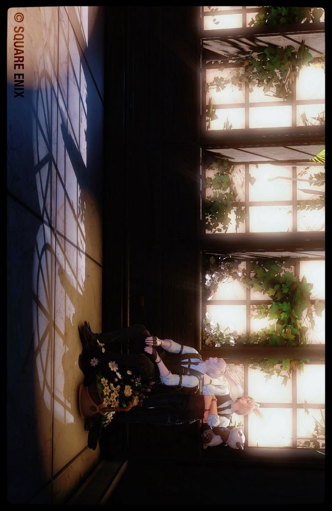 お邪魔した所こちらでした！
🏠 Elemental/Carbuncle/Empyreum6-11