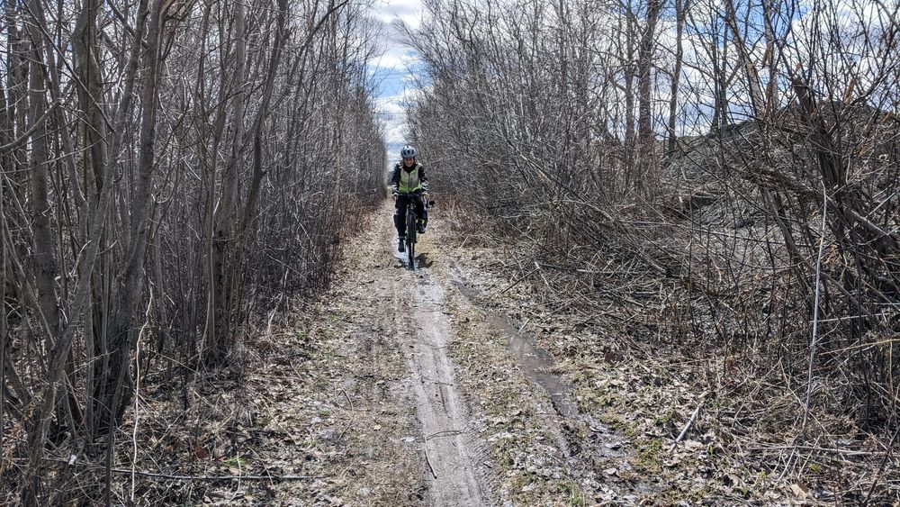A cyclist riding through a muddy narrow trail. Of 64km there was less than 2km of challenging terrain like this. 