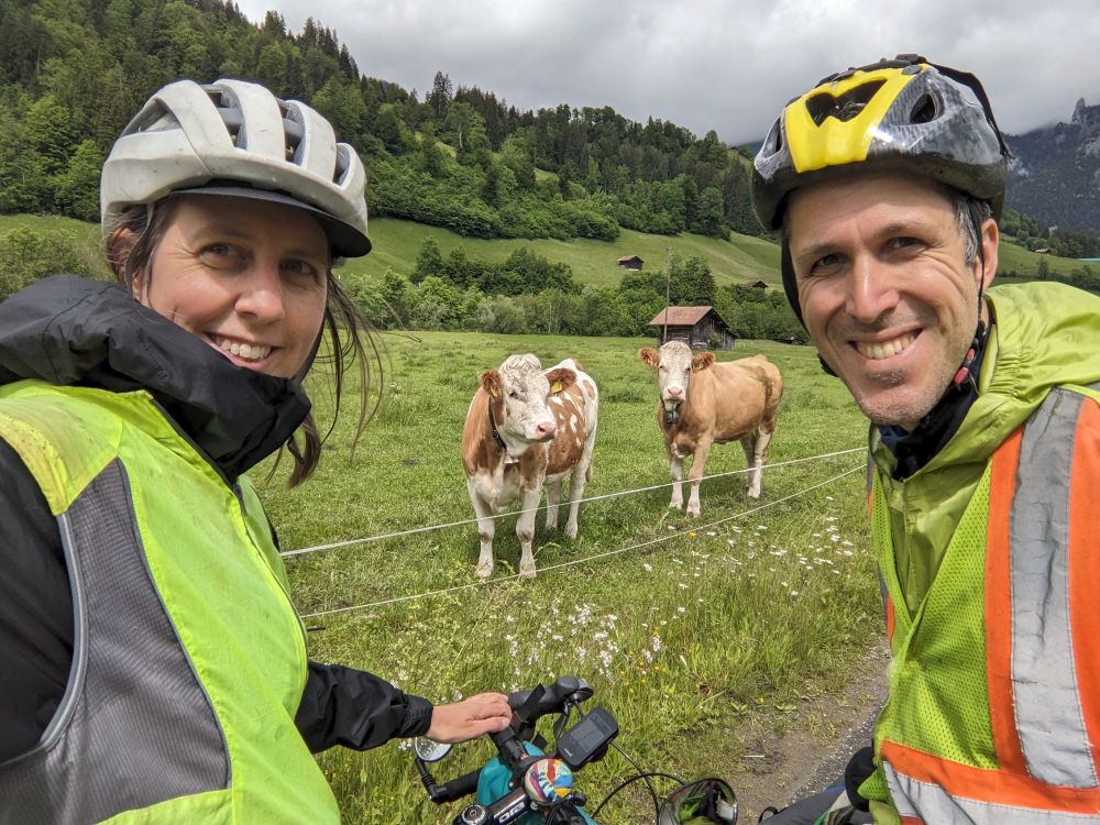 Two people wearing yellow vests and helmets smiling in front of two cows that appear to be looking at the camera. 