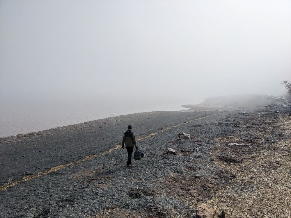 Person walking on a foggy rocky beach