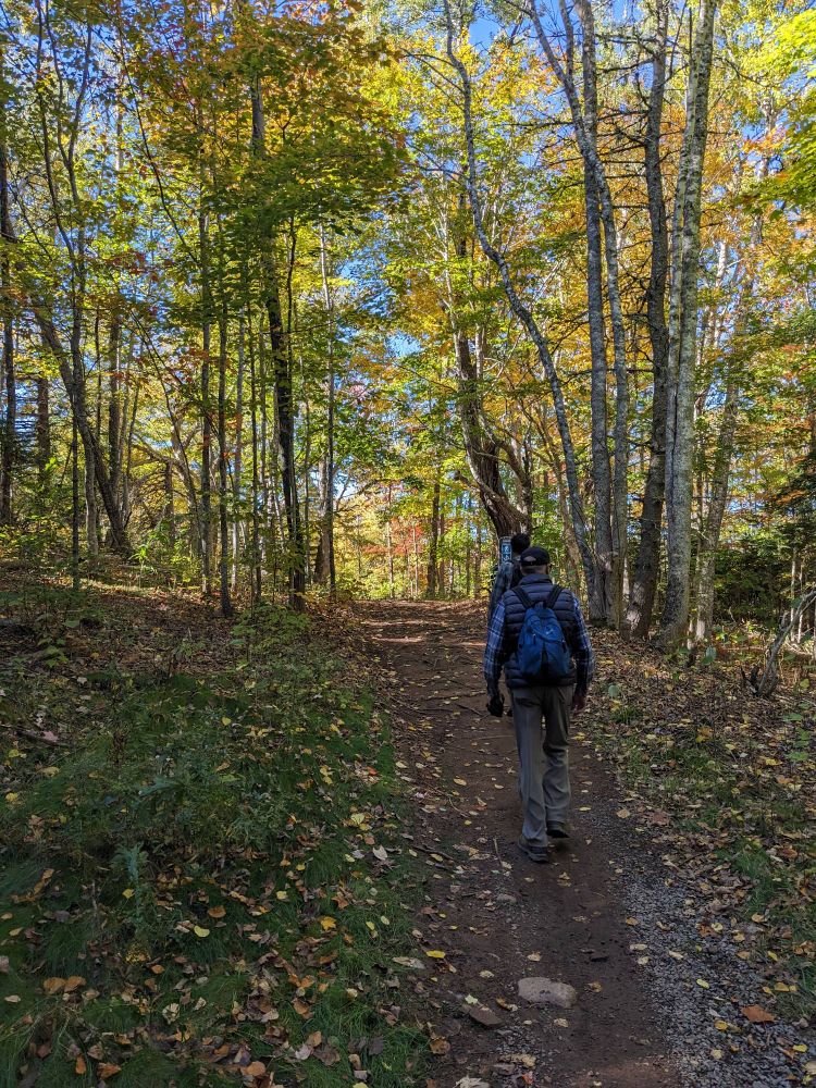 Two men walking on a narrow trail through a forest with green, yellow and red colours. 
